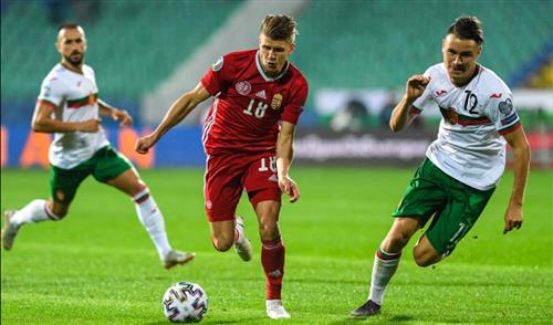 Starlight Bet: Smart Lighting for Homeowners